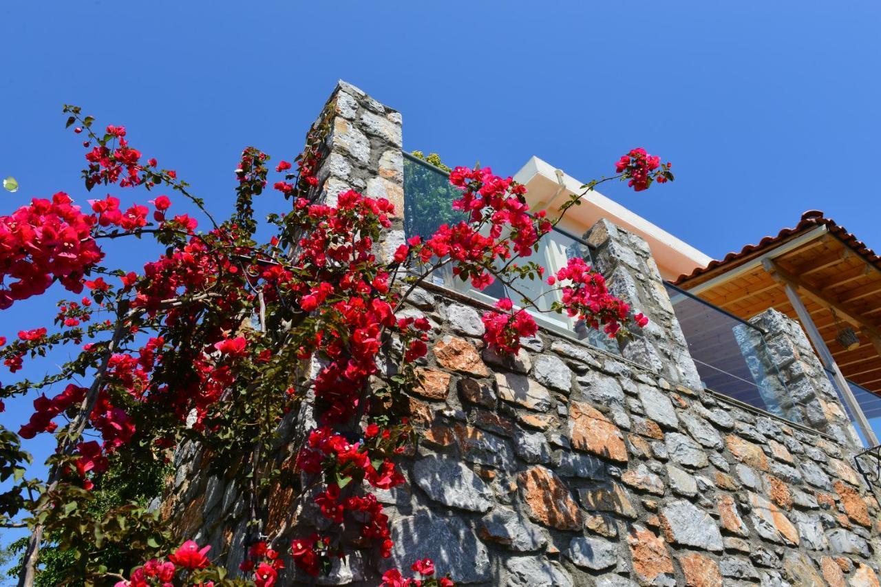 Kolios Hillside Villa Exterior foto